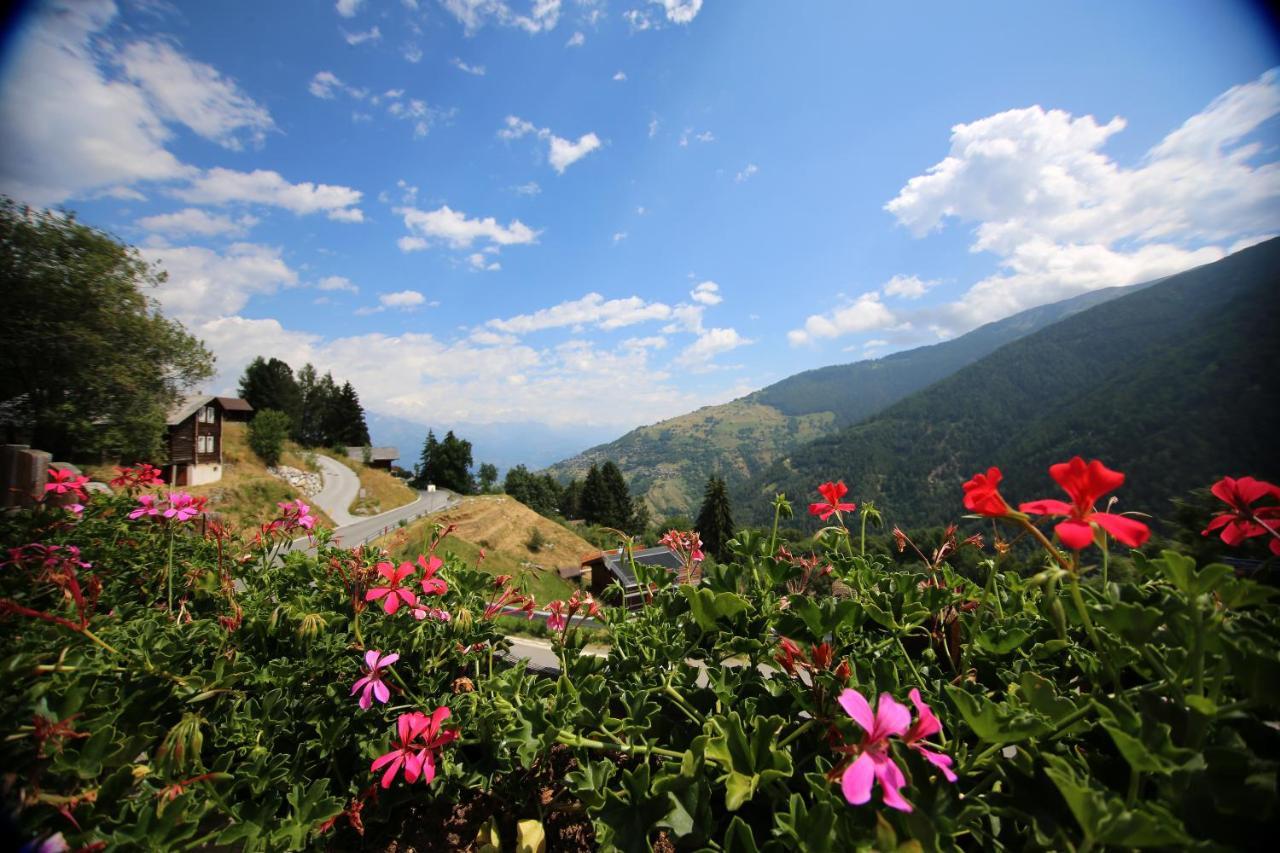 Bleusydyllique Bed and Breakfast Nendaz Exterior foto